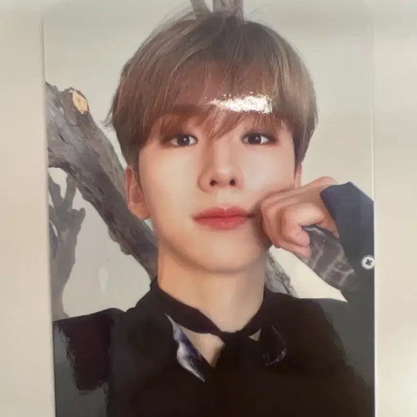 [SOLD OUT] 기현 노리밋 햄포자이 포카