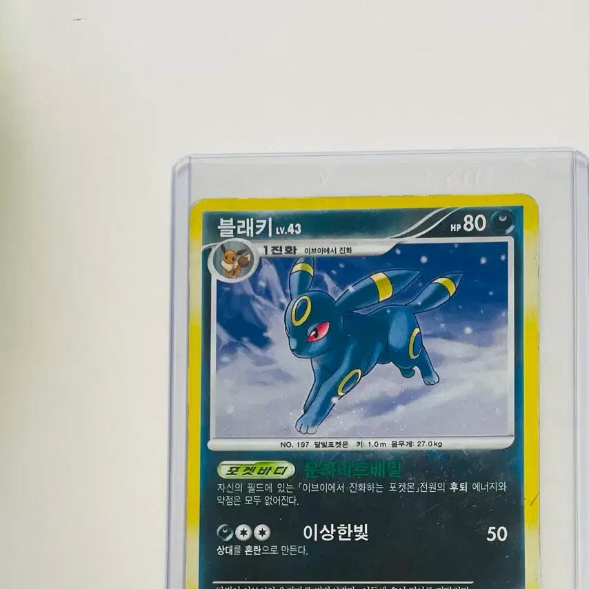 [SOLD OUT] 포켓몬카드 2010 dp 블래키 홀로