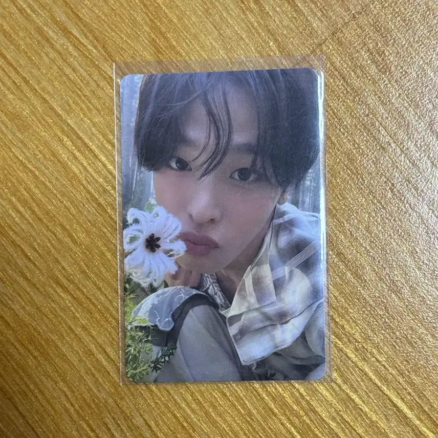 [SOLD OUT] 엔시티위시 오드투러브 빅스미니 리쿠 포카 양도