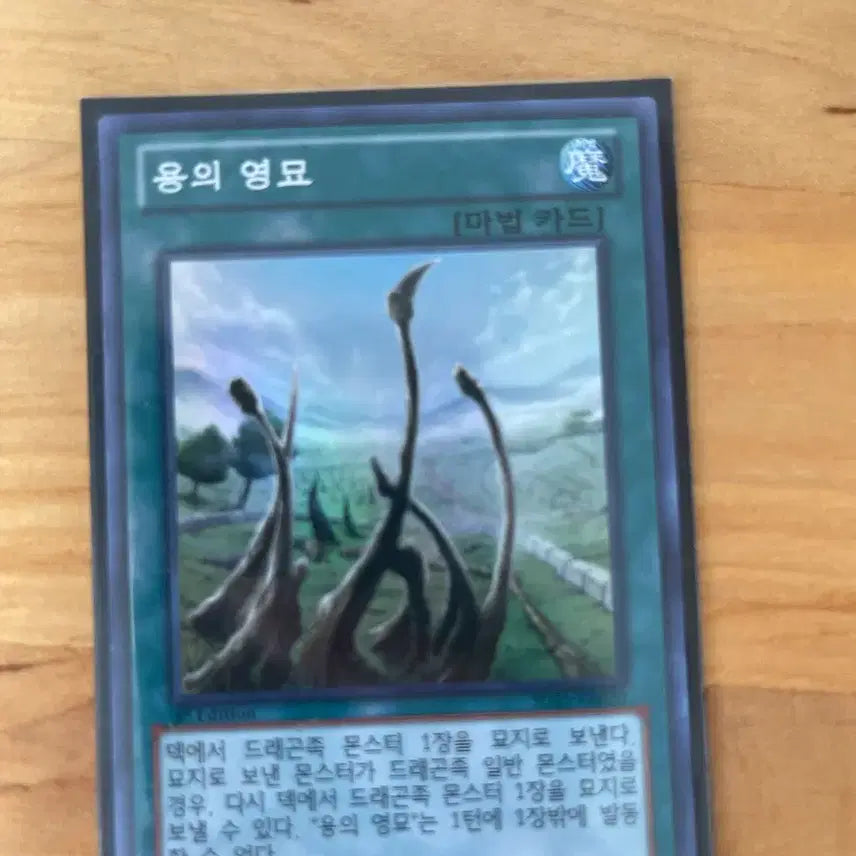 [BUNJANG] Yu-Gi-Oh! Dragon Shrine 1st Edition Card / 유희왕 용의 영묘1st