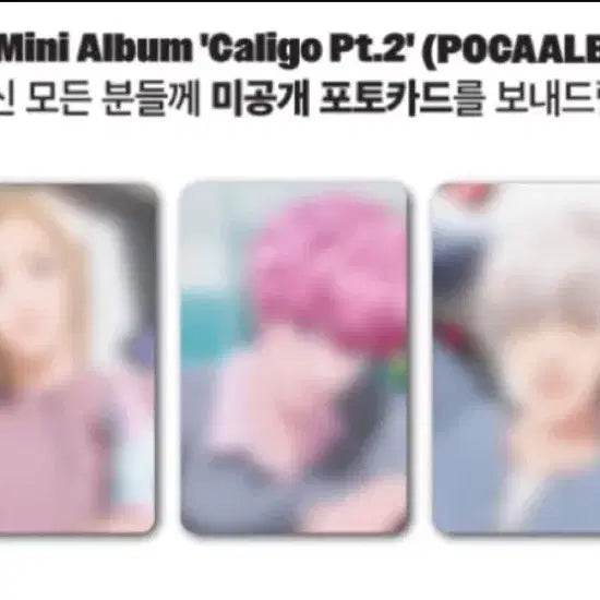 [SOLD OUT] 플레이브 칼리고 포카앨범 세트 (블래스트샵 미공포 포함)