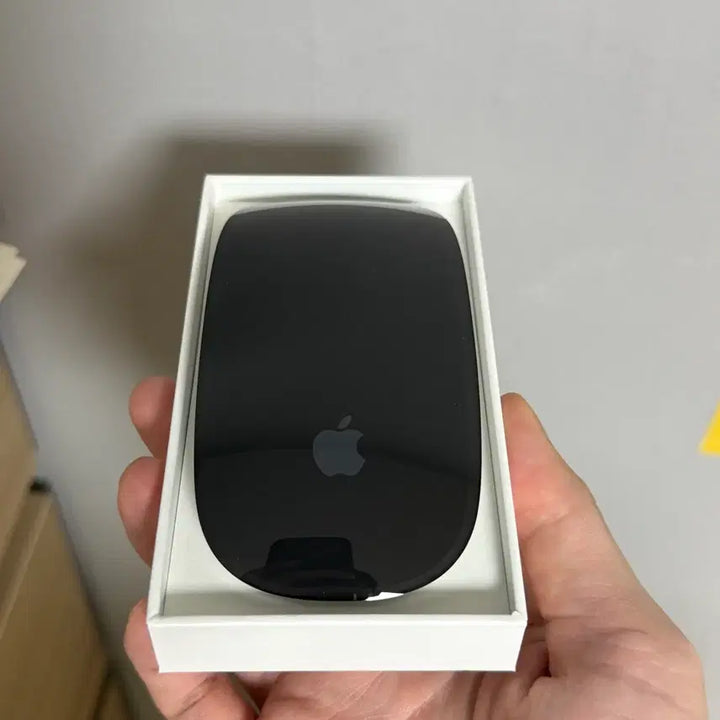 [BUNJANG] Apple Magic Mouse 2 (A1657) Black / 매직마우스2 A1657 블랙 새제품급
