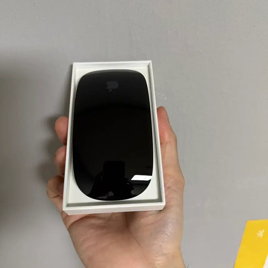 [BUNJANG] Apple Magic Mouse 2 (A1657) Black / 매직마우스2 A1657 블랙 새제품급
