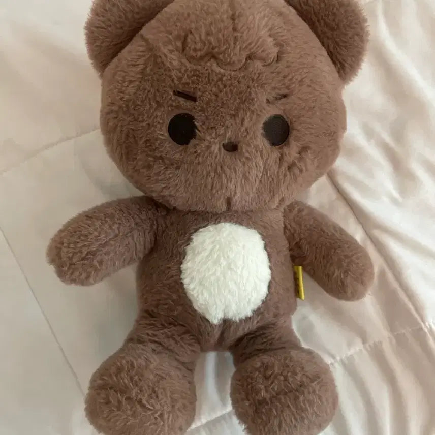 [BUNJANG] NCT Haechan 40cm Wangkkomchani Doll / 엔시티 해찬 인형 40cm 왕꼼찬 양도