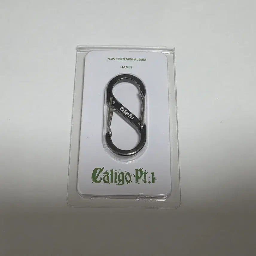 [BUNJANG] PLAVE Hamin Carabiner / 플레이브 하민 카라비너