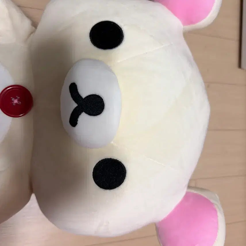[SOLD OUT] 산엑스 코리락쿠마 인형 L사이즈 단순전시