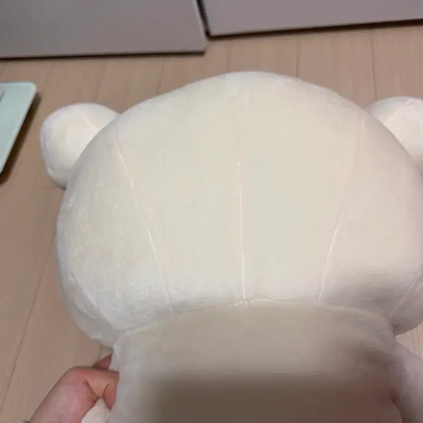 [SOLD OUT] 산엑스 코리락쿠마 인형 L사이즈 단순전시