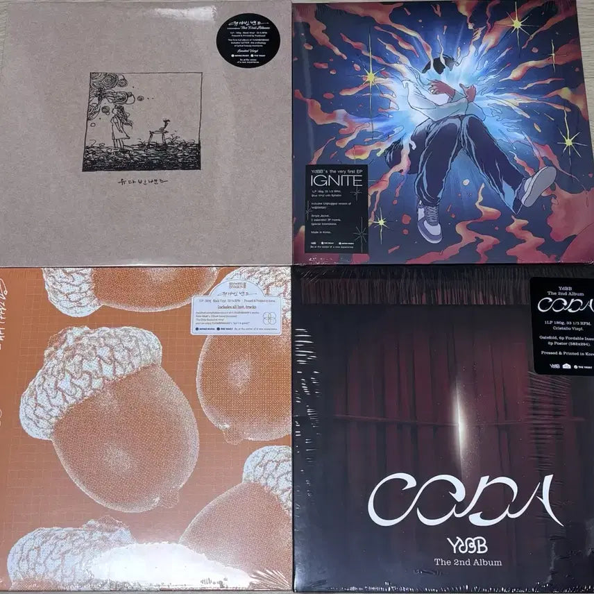 [BUNJANG] Yoo Da Bin Band Sealed LP Vinyl 4 Types / 유다빈밴드 미개봉 LP 바이닐 4종