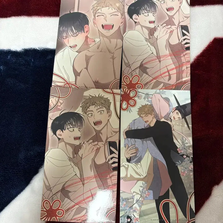 [BUNJANG] Hongsil Quest Goods Photocard / 홍실퀘스트 굿즈