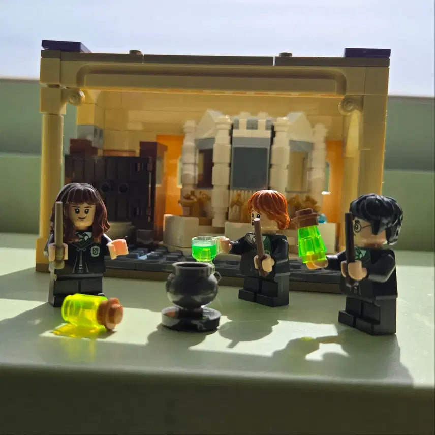 [BUNJANG] LEGO Harry Potter Hogwarts Polyjuice Potion Mistake 76386 / 레고 76386 호그와트 폴리주스 마법약 소동