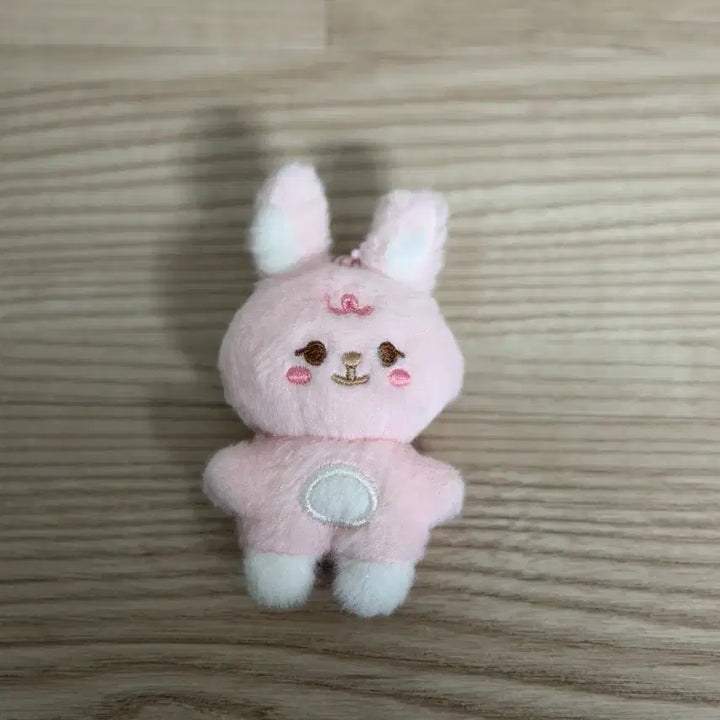 [SOLD OUT] 데이식스 쁘쁘멀 필 원필