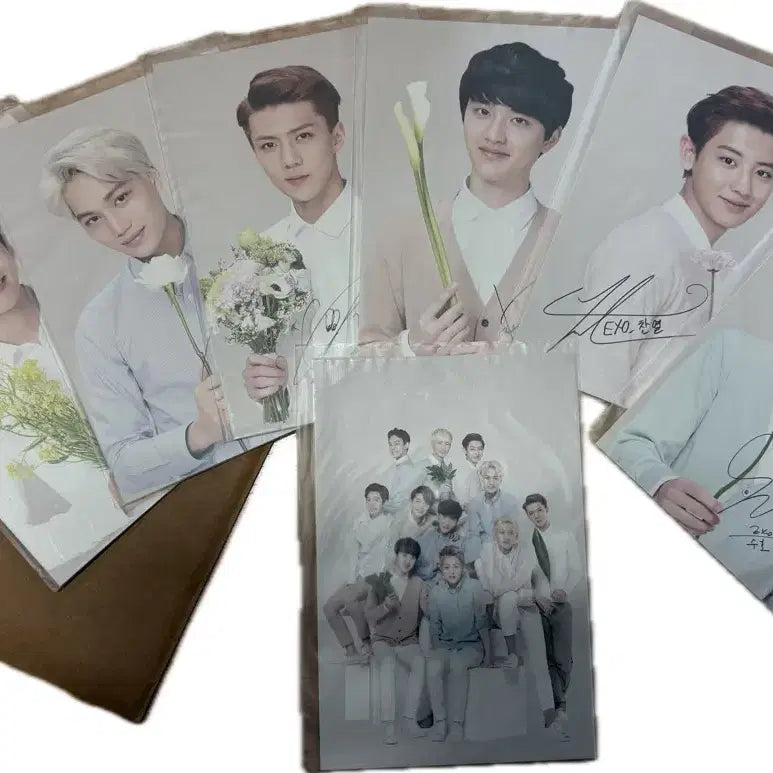 [BUNJANG] EXO K Nature Republic Postcard Set / exo 엑소 케이 네이처 리퍼블릭 엽서