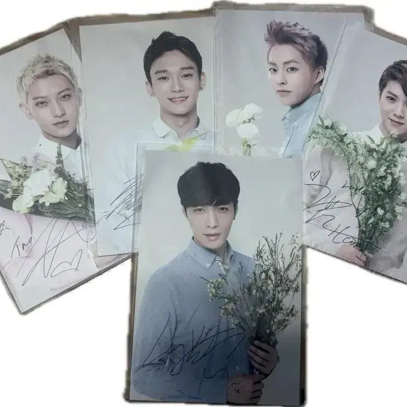 [BUNJANG] EXO Nature Republic Member Postcard / exo 엑소 엠 네이처 리퍼블릭 엽서 (단체 제외)