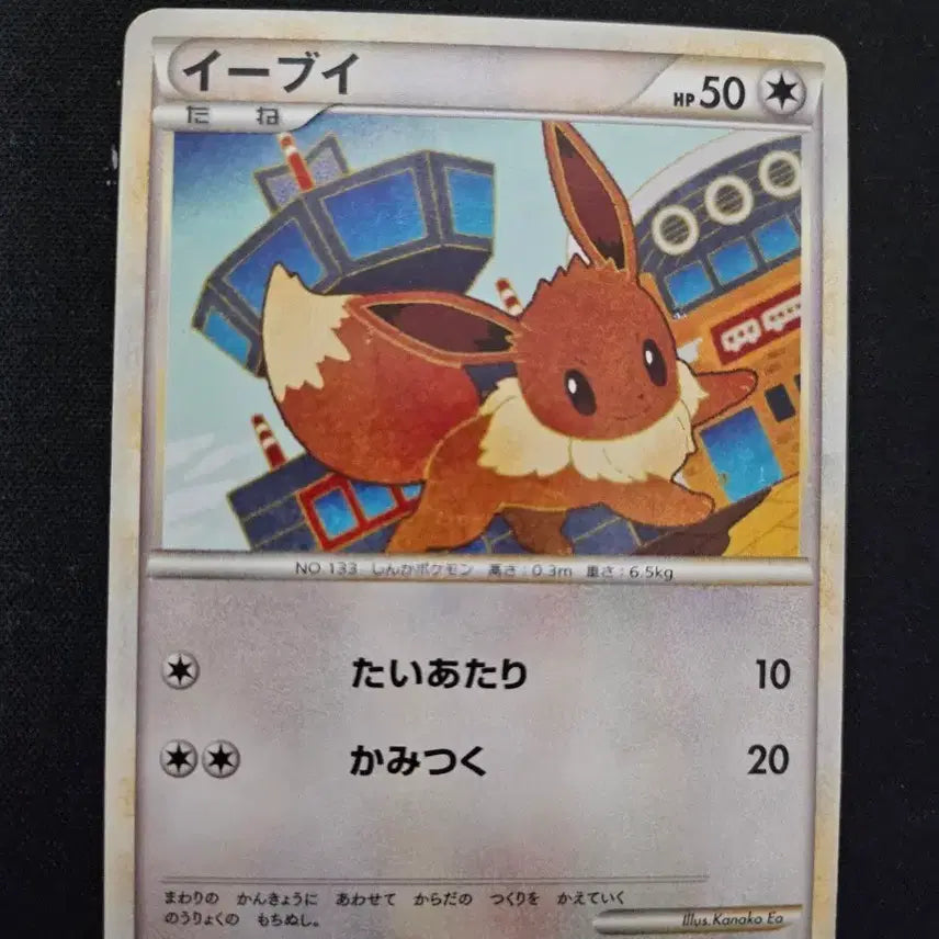[BUNJANG] 2010 Eevee Pokemon Card / 2010년 포켓몬 카드 이브이 (Eevee)