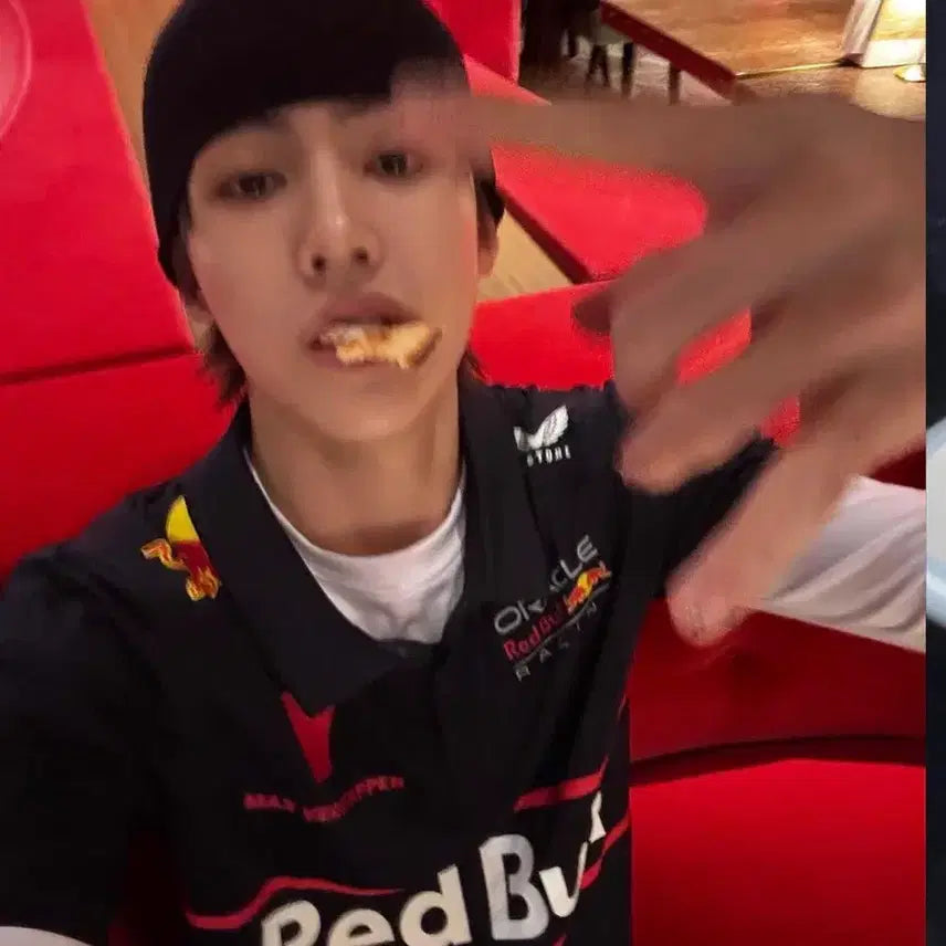 [BUNJANG] Red Bull Racing Polo Shirt / 레드불 레이싱 폴로 카라티