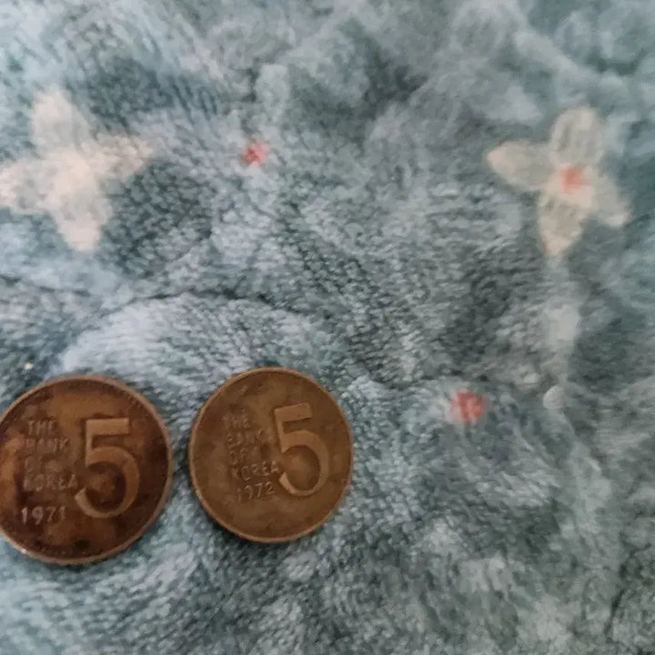 [BUNJANG] Korean 5 Won Coin (1971-1972) / 1971년 1972년 5원 동전