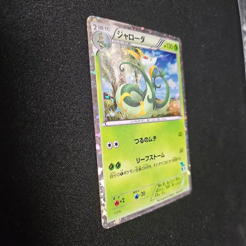 [BUNJANG] 2010 Pokemon Card Serperior Card / 2010년 포켓몬 카드 샤로다 카드 판매합니다.