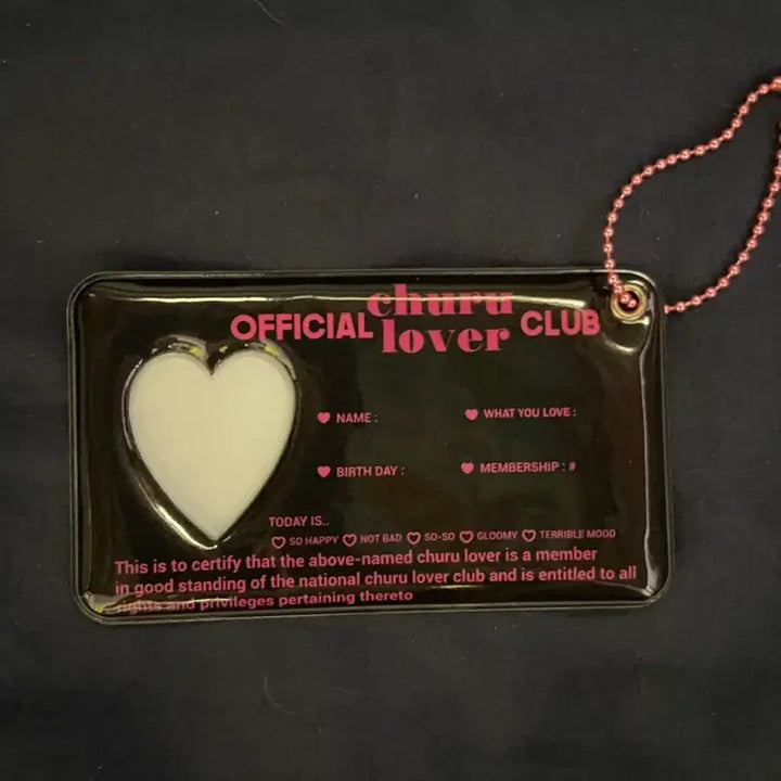 [BUNJANG] MAFEA My Fave Archive ID Photo Holder Keyring / 마페아 마이페이브아카이브 증사 홀더 키링