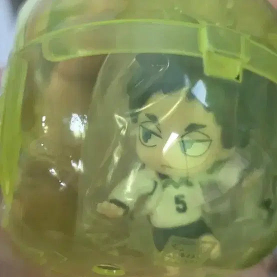 [BUNJANG] Haikyuu Akaashi Keiji Tefu Tefu Pig Gacha (Sealed) / 하이큐 아카아시 케이지  테포피그 가챠 (미개봉)