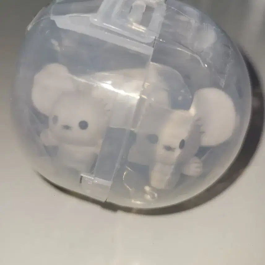 [SOLD OUT] 포켓몬 플로키돌 가챠 두리쥐