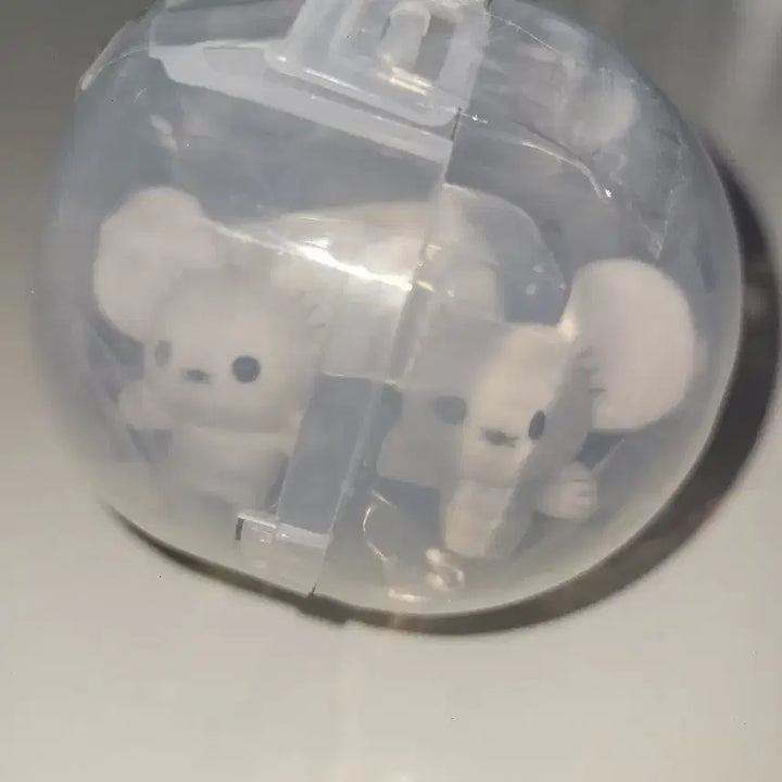 [SOLD OUT] 포켓몬 플로키돌 가챠 두리쥐