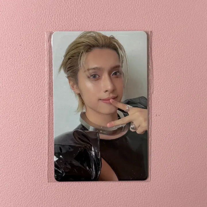 [BUNJANG] Xdinary Heroes Fanshop Showcase POB Gaon Photocard / 엑스디너리히어로즈 엑디즈 팬즈샵 쇼케이스 응모 특전 포카 가온