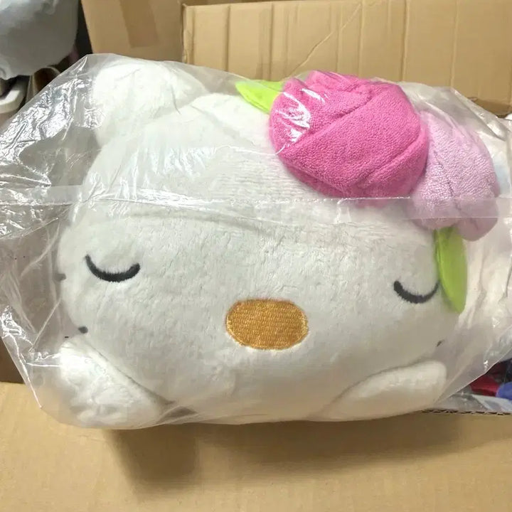 [BUNJANG] Sanrio Classic Hello Kitty Body Pillow Plush Cushion / 고전키티 바디필로우 인형 쿠션
