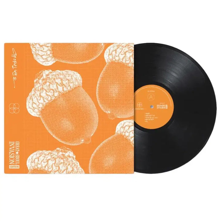 [BUNJANG] Yudabin Band GSI Edition LP Black / 미개봉새상품) 유다빈밴드 GSI 에디션 LP 블랙