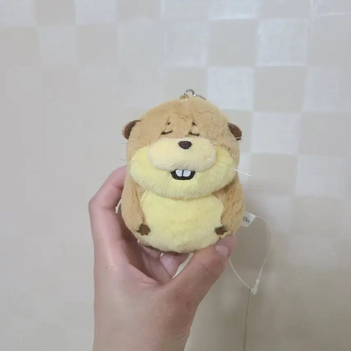 [SOLD OUT] [새상품] 디즈니 픽사 호퍼스 로프 키링