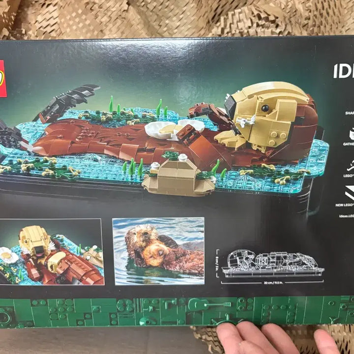 [BUNJANG] Lego Ideas Floating Otter 21366 Sealed / 레고 아이디어 플로팅 해달 21366 미개봉