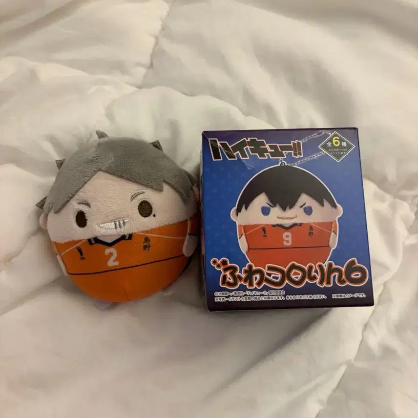 [BUNJANG] Haikyu Sugawara Fuwa Kororin Plush / 하이큐 스가와라 후와코로링 인형