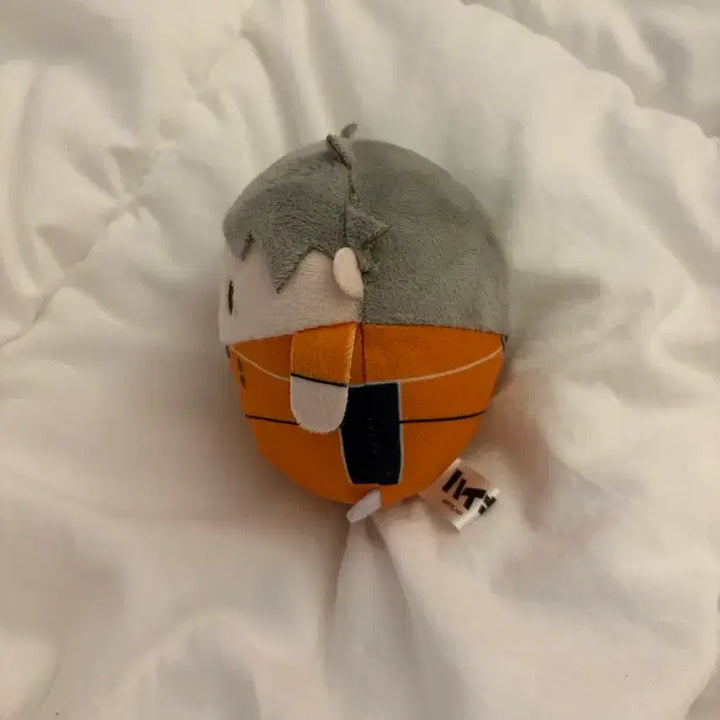 [BUNJANG] Haikyu Sugawara Fuwa Kororin Plush / 하이큐 스가와라 후와코로링 인형