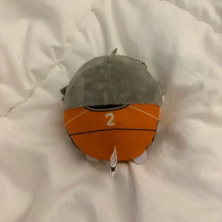 [BUNJANG] Haikyu Sugawara Fuwa Kororin Plush / 하이큐 스가와라 후와코로링 인형