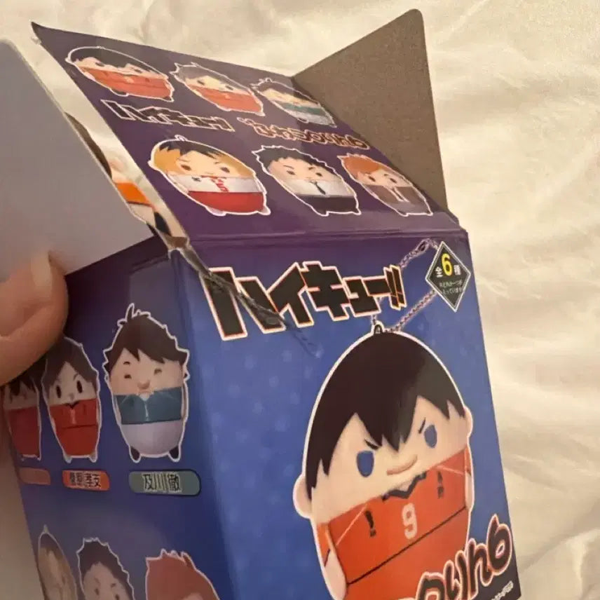 [BUNJANG] Haikyu Sugawara Fuwa Kororin Plush / 하이큐 스가와라 후와코로링 인형