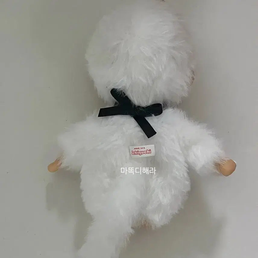 [SOLD OUT] 몬치치 컬러즈 화이트 팝니다