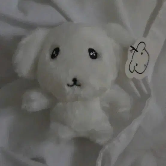 [BUNJANG] Boksil Ganadi Naana Doll Keyring / 복실 가나디 나안아 인형 키링