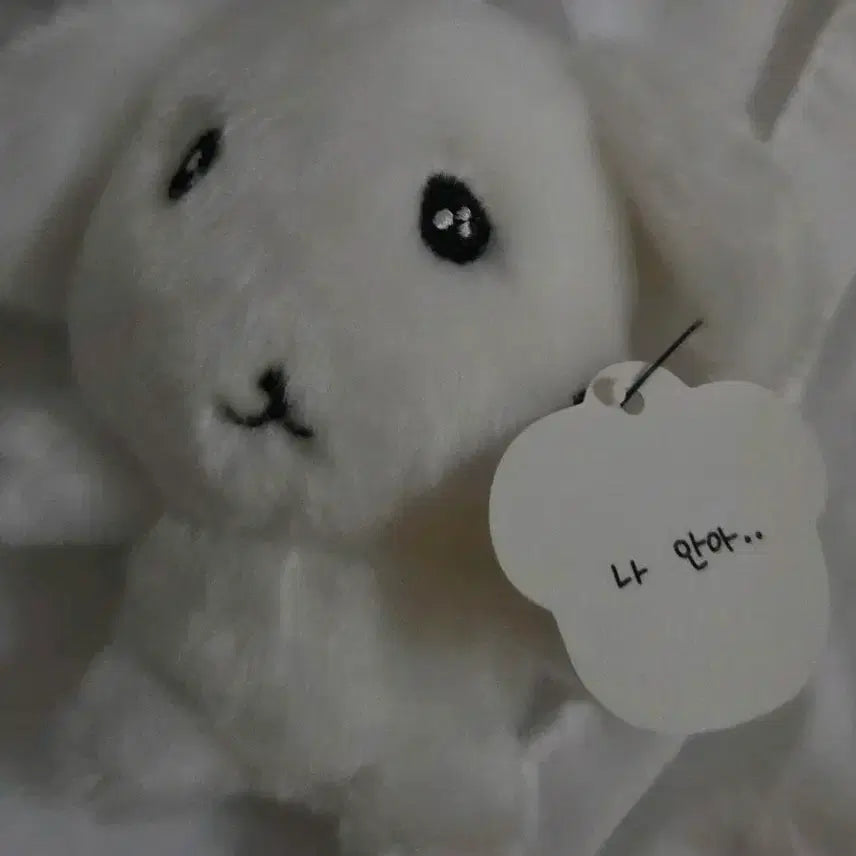 [BUNJANG] Boksil Ganadi Naana Doll Keyring / 복실 가나디 나안아 인형 키링