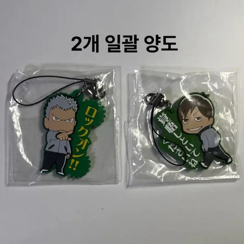 [BUNJANG] Date Tech High School Futakuchi Kenji Rubber Keychain Bundle / 하이큐 다테공고 후타구치 아오네 고전 고무 키링 일괄 양도