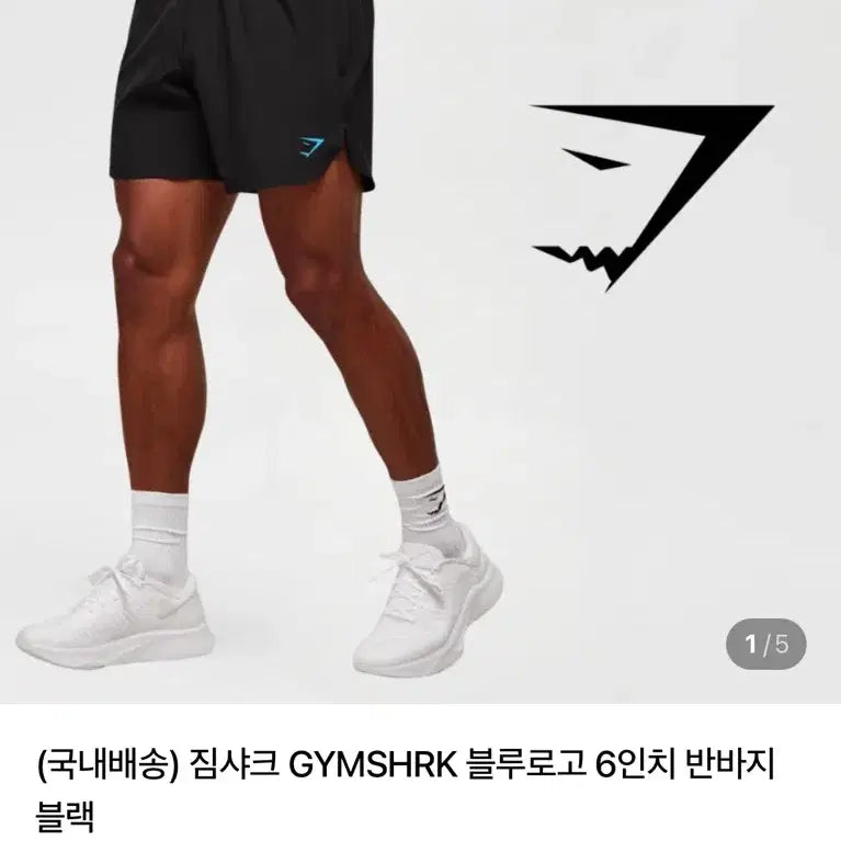 [BUNJANG] Gymshark Blue Logo 6-inch Shorts / 짐샤크 블루로고 6인치 반바지 S