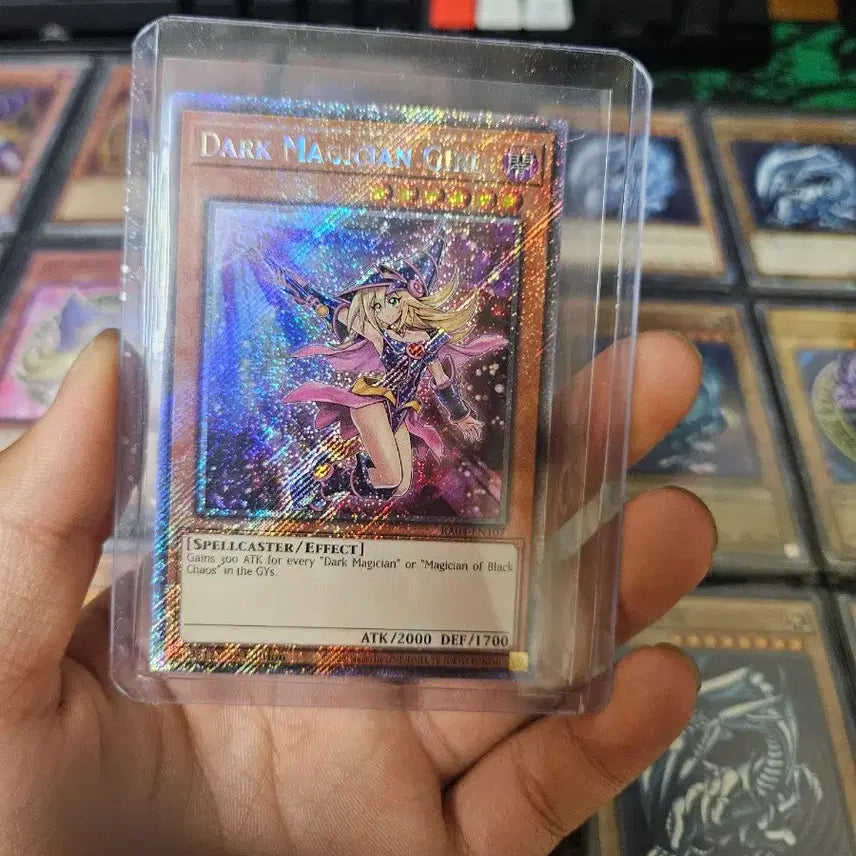 [BUNJANG] Yu-Gi-Oh! Black Magician Girl First Edition English Version / 유희왕 블랙 매지션 걸 영문판 퍼스트 에디션. 판매