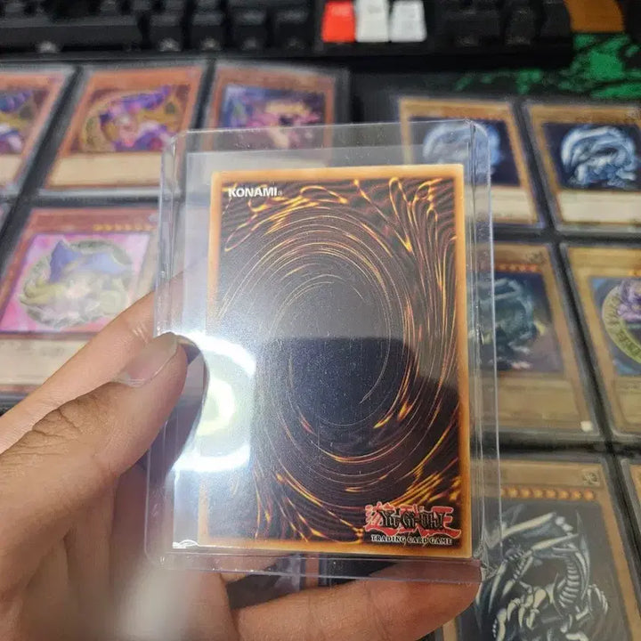 [BUNJANG] Yu-Gi-Oh! Black Magician Girl First Edition English Version / 유희왕 블랙 매지션 걸 영문판 퍼스트 에디션. 판매
