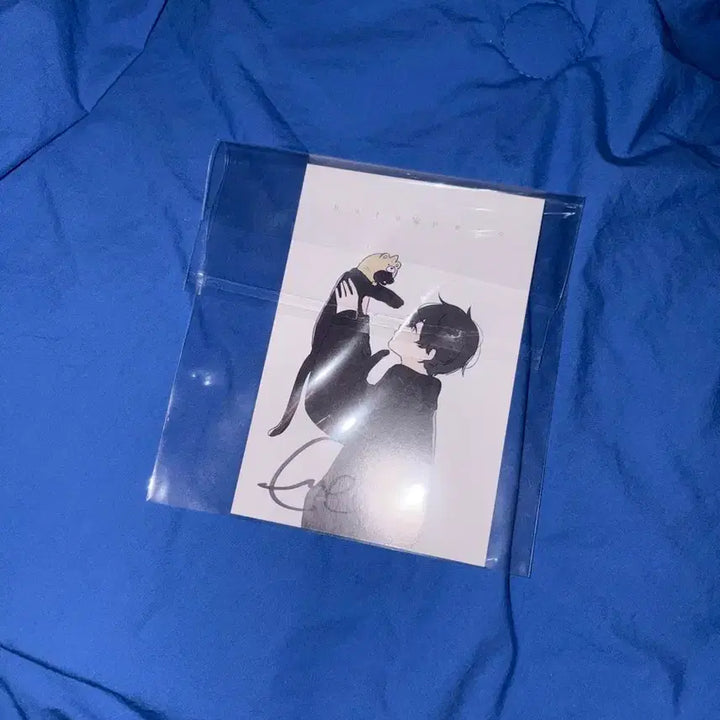 [BUNJANG] Eve Harappecco Signed Autograph / 우타이테 Eve 하라페코 친필싸인 판매합니다!