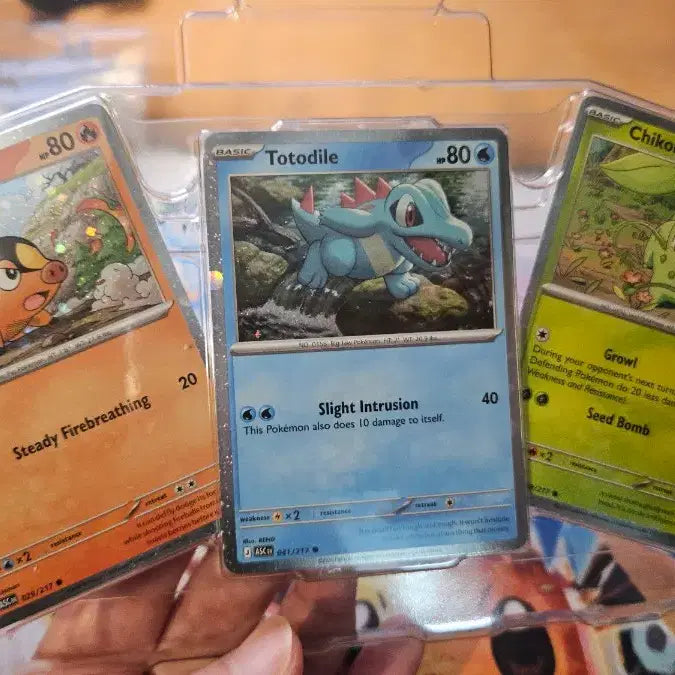 [BUNJANG] Pokemon Ascended Heroes Promo Cards (3-Card Set) / 북미 포일 프로모션 3종 포켓몬카드 어센디드 히어로즈  판매(3세트)