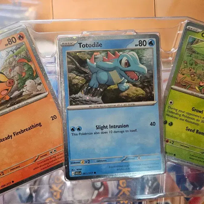 [BUNJANG] Pokemon Ascended Heroes Promo Cards (3-Card Set) / 북미 포일 프로모션 3종 포켓몬카드 어센디드 히어로즈  판매(3세트)