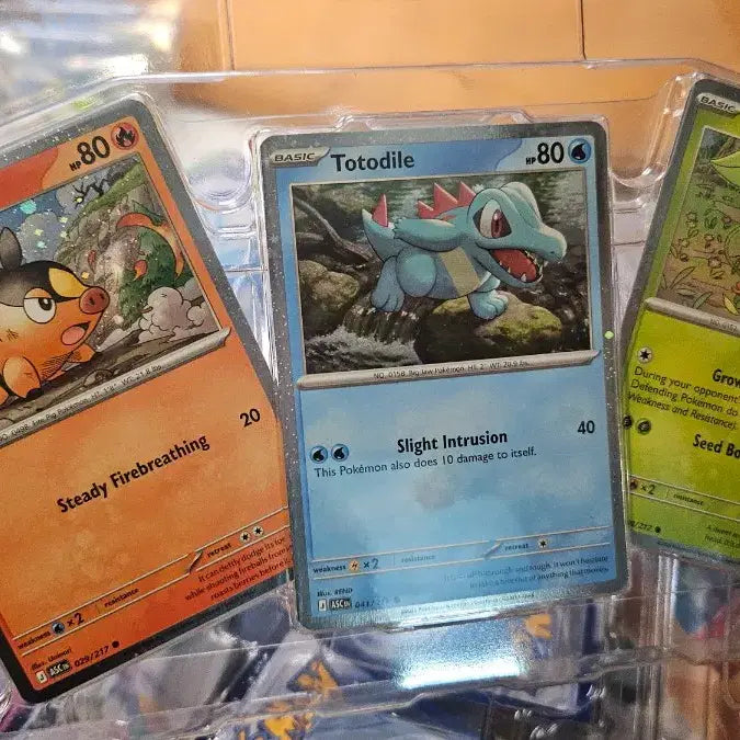 [BUNJANG] Pokemon Ascended Heroes Promo Cards (3-Card Set) / 북미 포일 프로모션 3종 포켓몬카드 어센디드 히어로즈  판매(3세트)