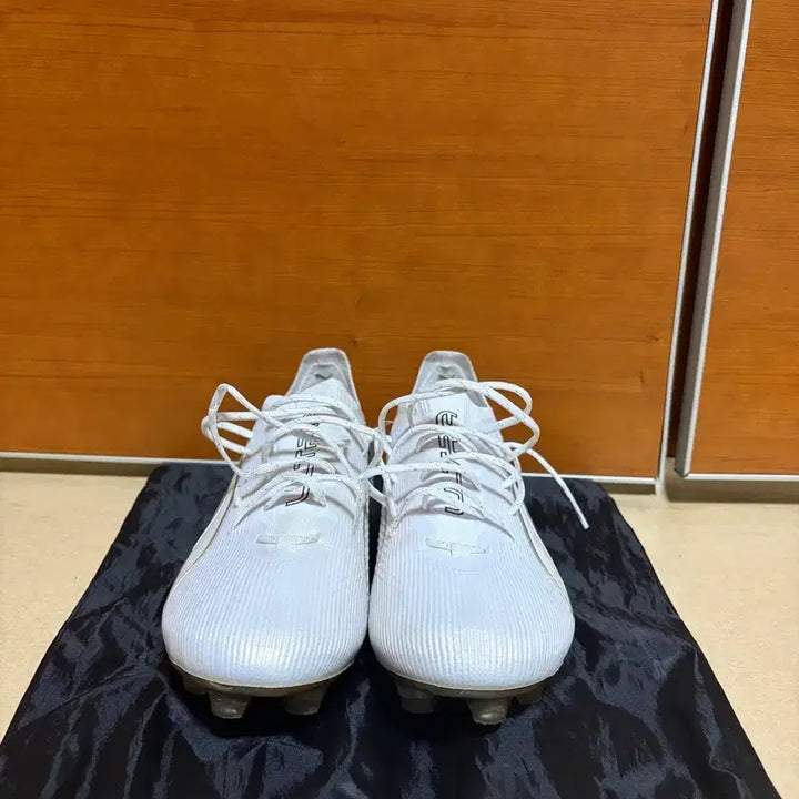 [BUNJANG] Puma Ultra 6 Ultimate FG Soccer Cleats / 푸마 울트라 6 얼티메이트 FG