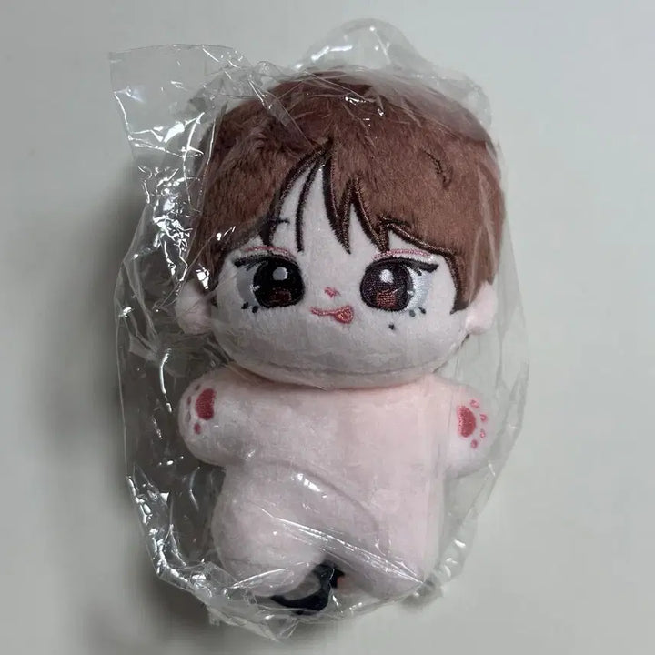[BUNJANG] ENHYPEN Sunoo Doll / 엔하이픈 선우 인형 판매 양도!