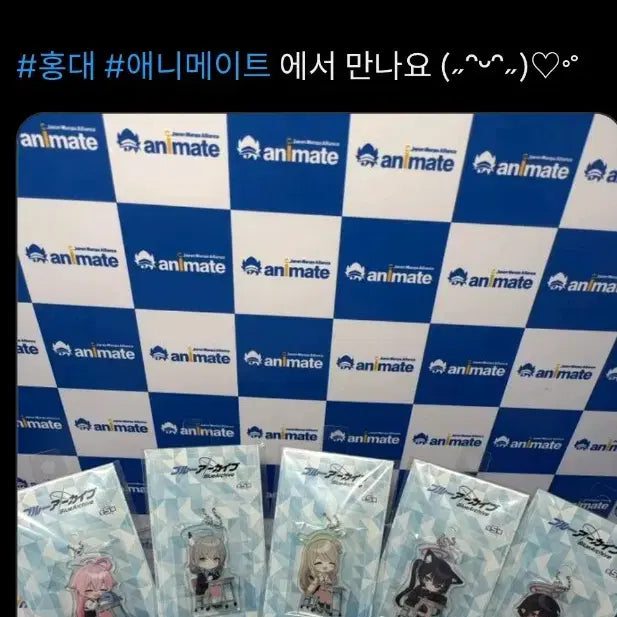 [BUNJANG] Blue Archive Animate Sega Hoshino Acrylic Keychain (Sealed) / 미개봉) 블루아카이브 애니메이트 세가 호시노 키링 키체인
