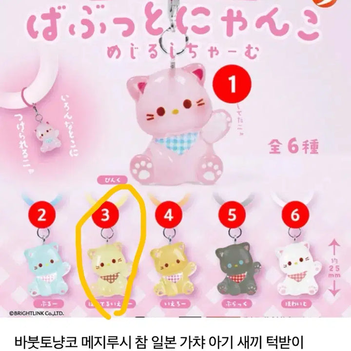 [BUNJANG] Baby Cat Mejilushi Yellow / (미개봉)아기고양이 메지루시