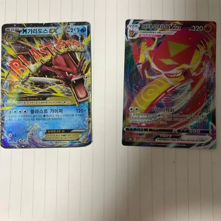 [BUNJANG] Gyarados EX and Charizard VMAX Card Set / 갸라도스ex 다태우지네vmax 세트
